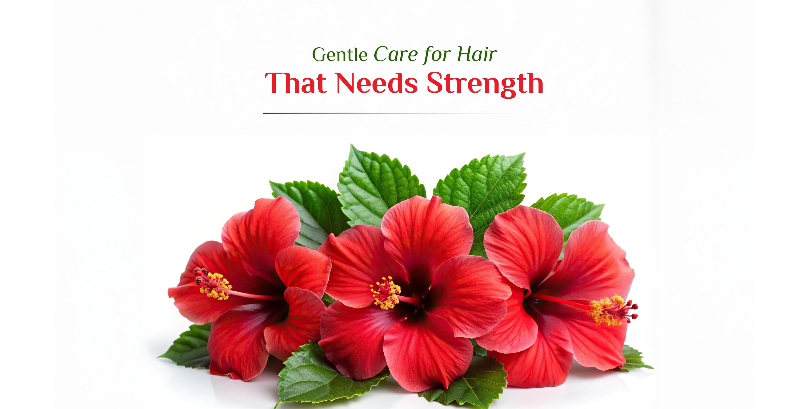 Hibiscus Benefits for Hair Growth and Hair Fall Control